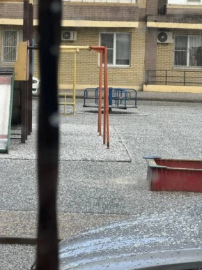 ���� ��� ������ �� ��������