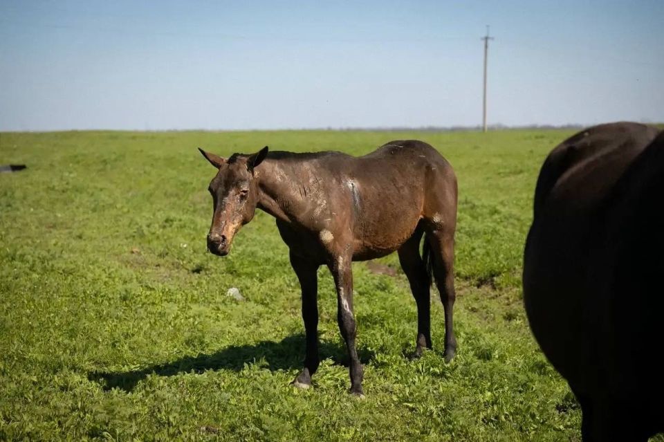 ������� ���������� ������� �������, ������������ �� ��������� ��� � ����������� �������