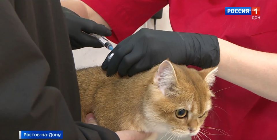 ����� �������� �� ��������� ������� � ���������� �������