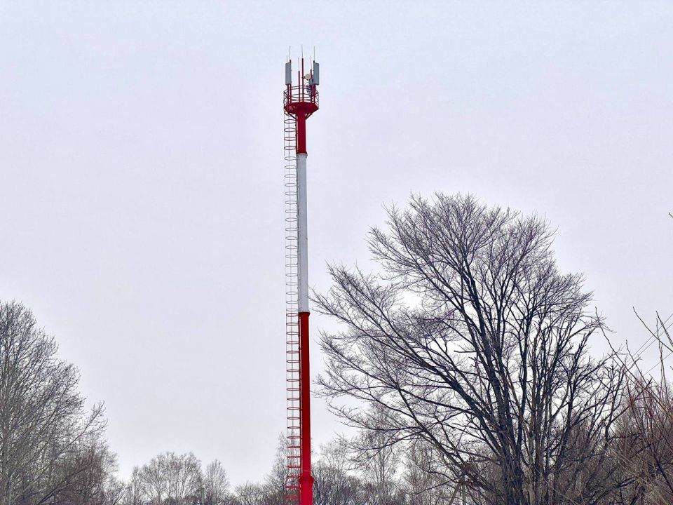 � ������� ����������� ���������� ������� ������� ������������ �������-������������