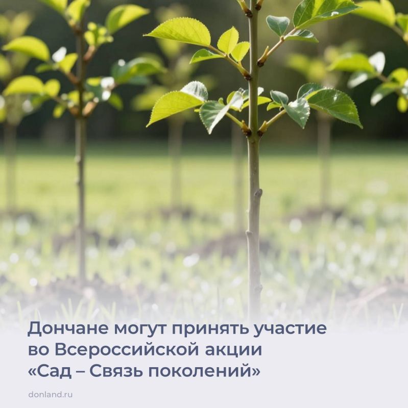 19 ��� ��������� ��������� ������������� ����� ���� � ����� ��������� � ������ �������������� �������-���������������, ���������-�������������� ������� ������ ��������ɻ