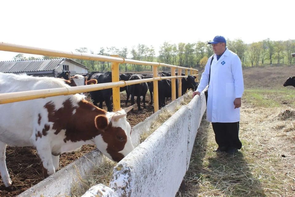 �� ���� �������� �������� �������� ������������ ��������� ����� ����� ������� �� ��������