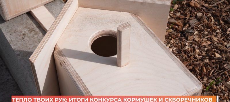 ������ ����� ���: ����� �������� �������� � ������������