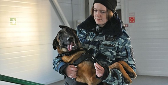 �������� ����