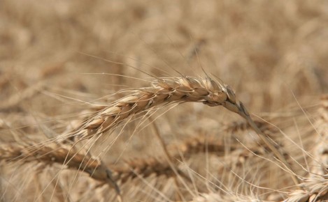 ������� �� ������� �������� ������� ����� � ������� ����������� ������������� ���������� ������� � �� ���������