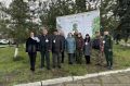 Донские лесоводы высадили 80 берез в память о Героях Советского Союза