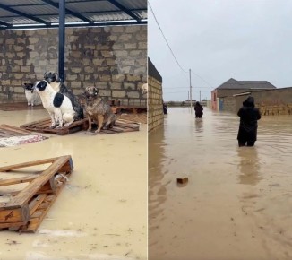 ��������� �� �������-��-���� ����������, ��� �������� �������� � ���������