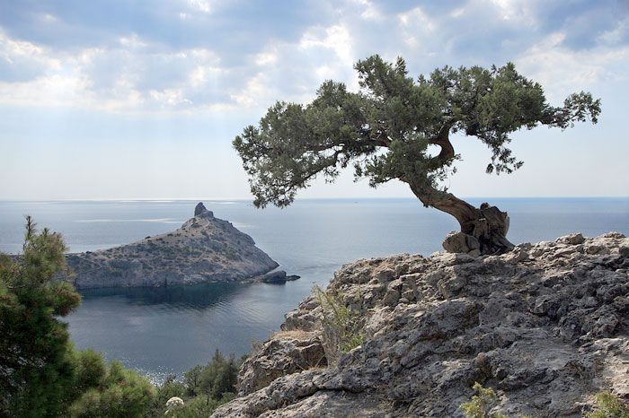 Пожилая ростовчанка попала под статью, подтверждая квалификации медиков в Крыму