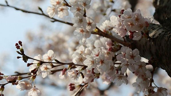 ������ �� ������