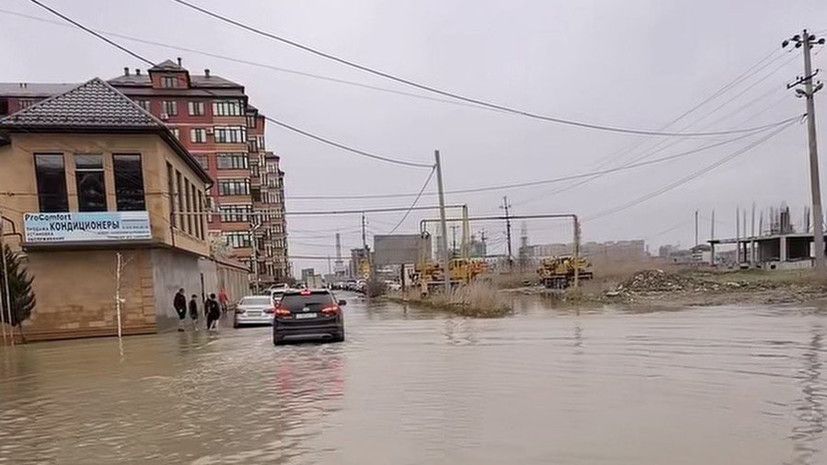 �������� ����, ���� �� ���� �����: ��� �������� �� ���� ������ �������� ���������