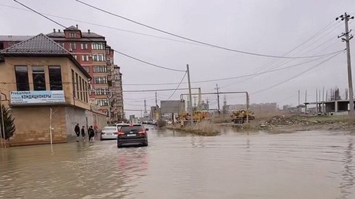 �������� ����, ���� �� ���� �����: ��� �������� �� ���� ������ �������� ���������