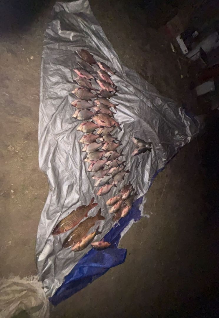 На Дону полицейские задержали двух подозреваемых в браконьерстве