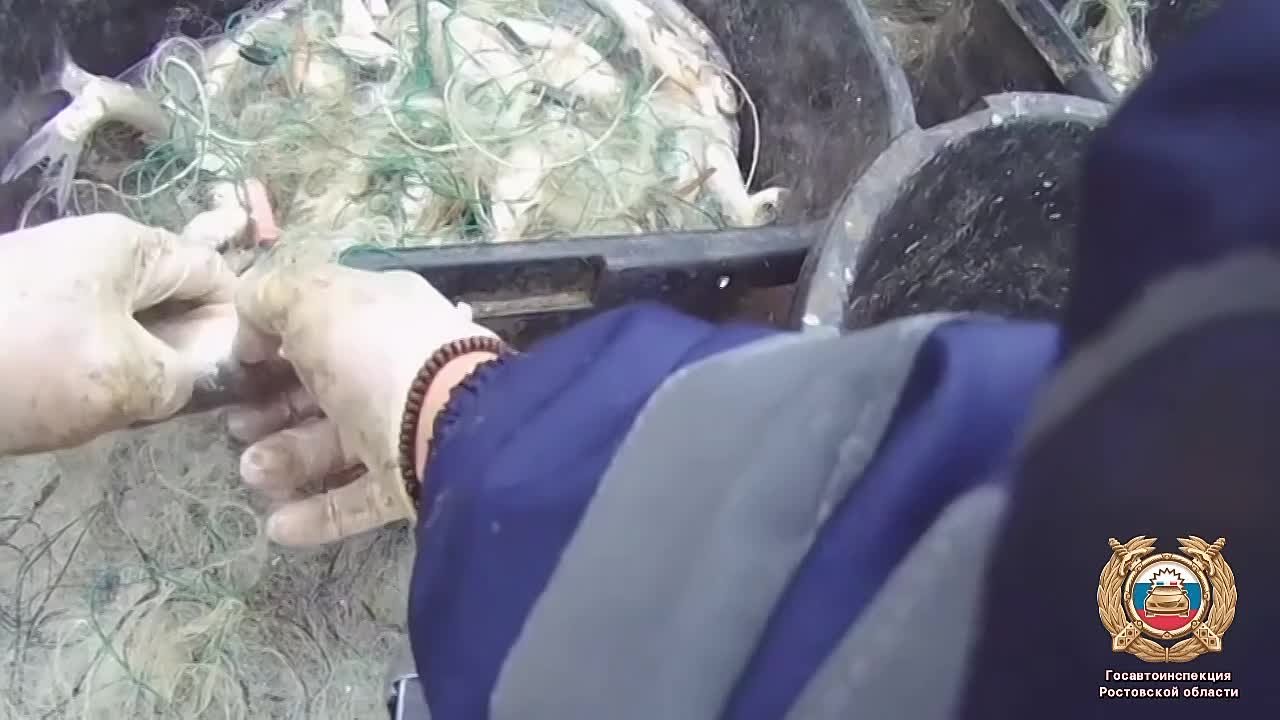 Полицейские остановили «Ниву» в Багаевском районе на стандартную проверку, а нашли улов на миллион