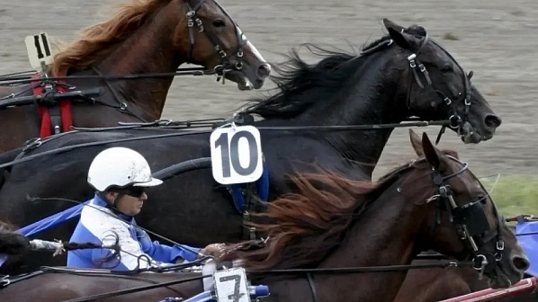 Ростовский ипподром готовится к открытию нового скакового сезона