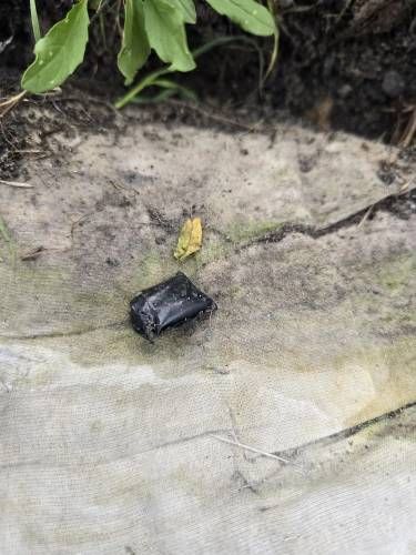 �� ����� ������� ������: ������������ ��������� � ������ �������������� � ���������� ������������ ����������