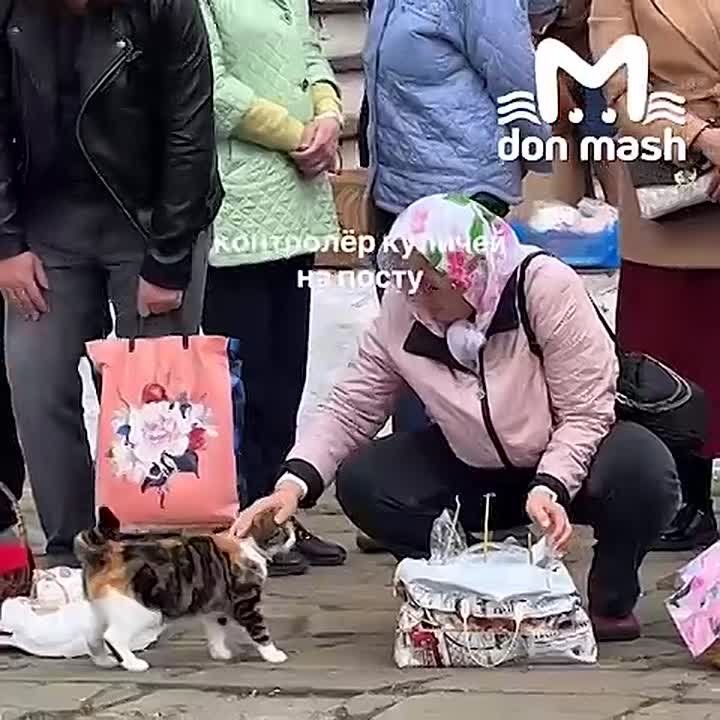 ��������� ������������ ���������� �������� �� ����� ������ �� Mash �� ����� � ���������� ��������� ��������� ������� �� ���������������