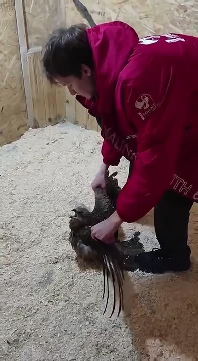 ������ ������ ������ �������� ��������� ������ ����� �������� ����� ��������� ��������