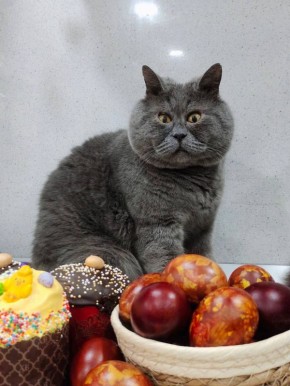 � ��� ��� � ��� ���? ���-������ ���� � ��� ����� ���� ������ ���� ��������� �����!