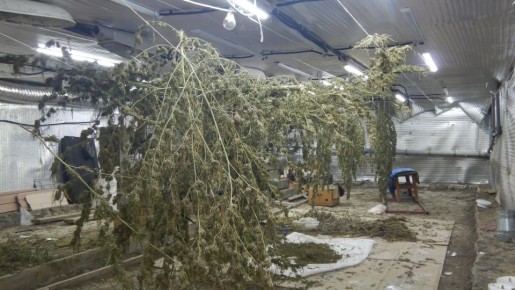 ������������ �� ��������, ������������ ������� � ������� ������ ����, �������� ������������ ��������