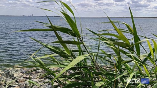 � ���������� ���� ���������� ���� �������