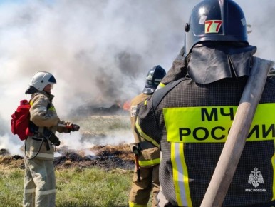 �� ������ ������� ��������� �������� 43 ����������� ������