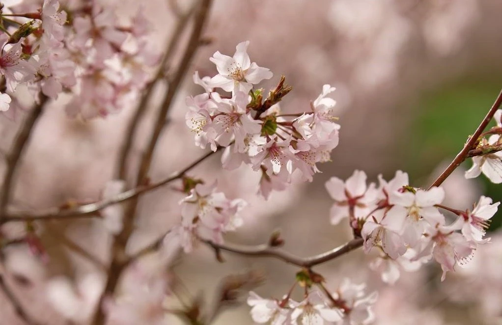 Потепление придёт в Ростовскую область на новой рабочей неделе