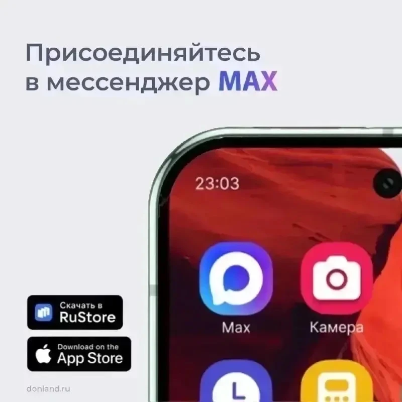 Ростовская область - на платформе российского мессенджера МАХ