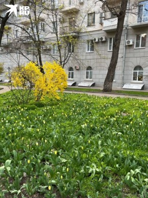 ��� ������� � � �� ���������� ����������� ��������