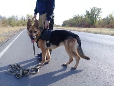 ������ ����� ������ �� �����: � ��������� ������ ������� �� ��������� ������� ��������� �������������� � �����