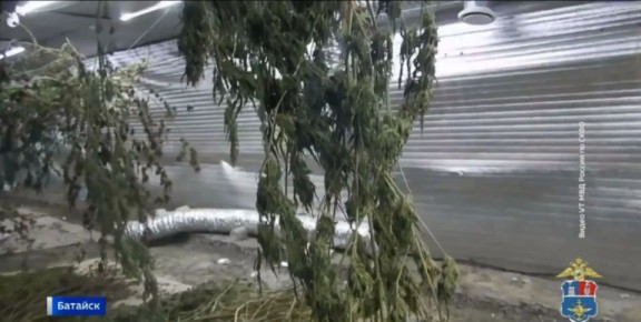 ������� � 70 ������������ ��������� ���������� � ��������