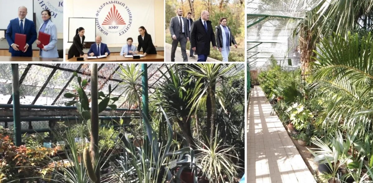 Ко Дню города в Ростове состоится фестиваль цветов