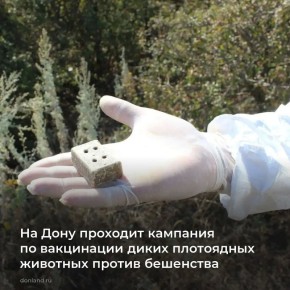 ������ �� ������������� ���������� ������� ���������� ��������� � ������������ ���������� ���������� � ������������������ �������� ��������� ����� ��� ������� ��������� ������ ���������