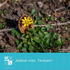 Доброе утро и продуктивного рабочего дня!