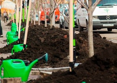 � ������� ��� ������� �������� � ���� ��������������� ���������� 12 �������� ����