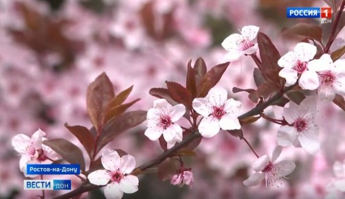 �������� ����������� ����� ������ �� ��� - ��������� ���� � ����� ������