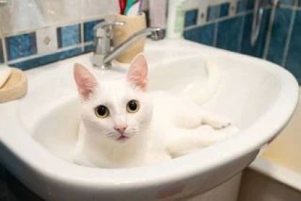 �������� ���������� ������� ���� ������ � ������� � ���