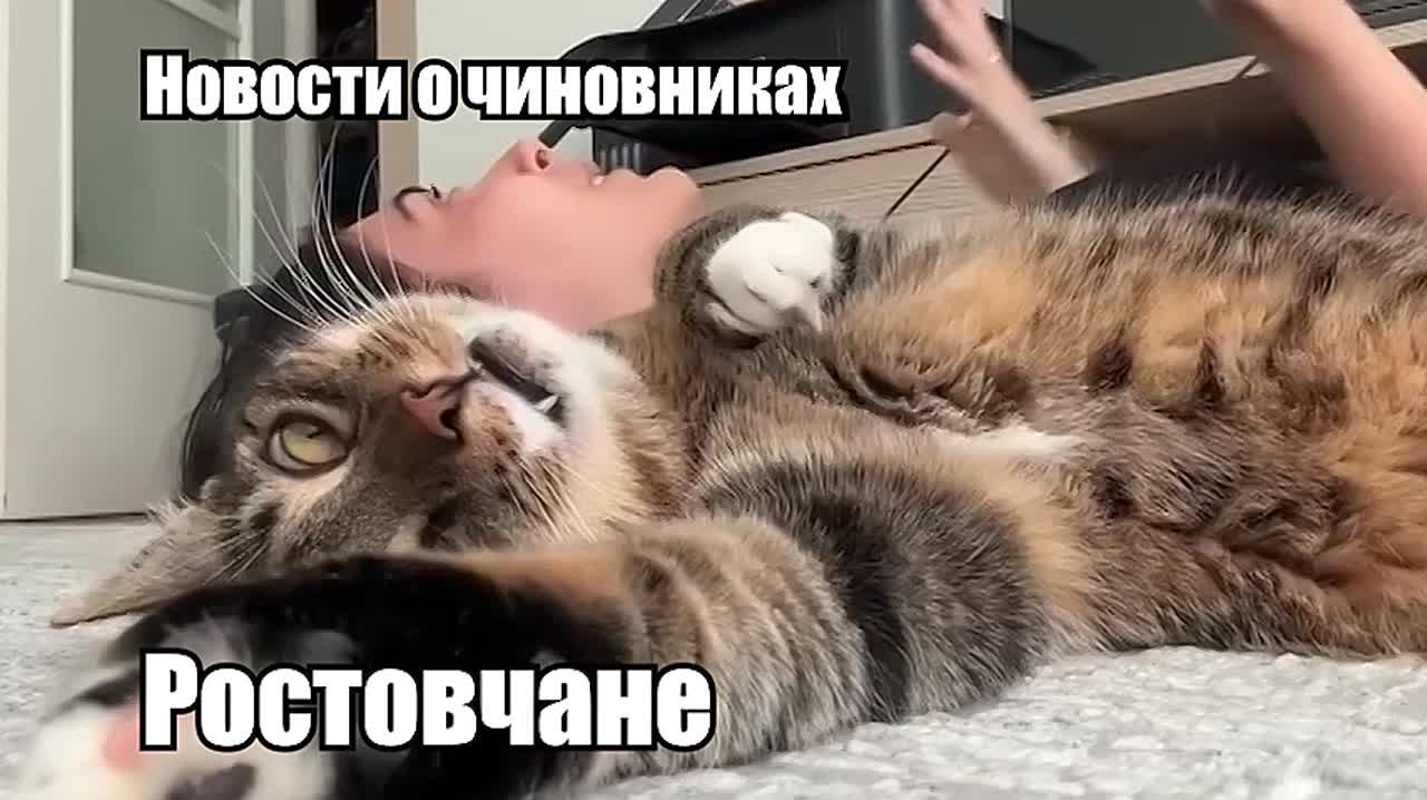 Мастер-класс по уходу от уголовки показал ростовский чиновник