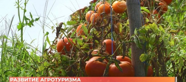 ��������, ���������, ���������� � �����: ���������� �� ����