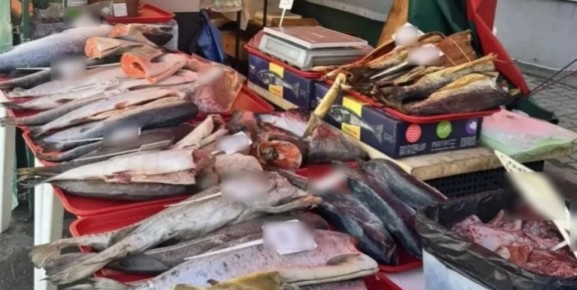 ���������� ����������� ������ �� ����������� ������� 906 �� ����