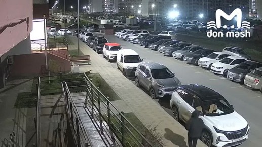 Минимум четыре машины потеряли свои зеркала в неравной схватке с боевой мамбой в Суворовском