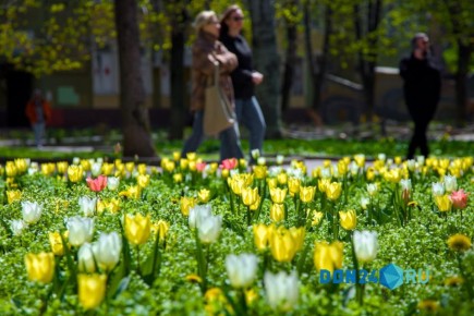 �������� ��������, � � ���� � ����������: ������������ � ���������� ��������� �������