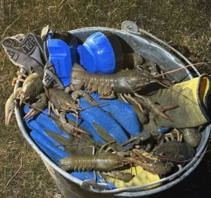 � ��������� ������ �������� ������� �� ���������� ������ �����