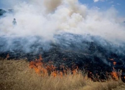 � ������� �� ������ ��������� 4 ���������� ������