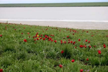 � ������ ��������� ������ ��������� XIV ��������� �������������� ������� ��������� ������