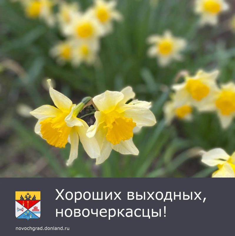 � �������, 18 ������, ��������� ���������� ����������, ��� �������