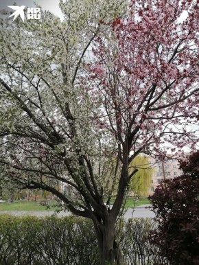 ������ ����, ������! �� ����� ���-������ ������? � ����������� ������ ��������� ������: ���� �������� � ����� ������, ������ - � �������