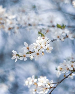 ������ � ���������.. ����� ������ clck.ru/3RrPL2