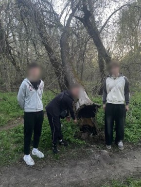 �������������� ������������ ������� ���� ����������� �������� ����������