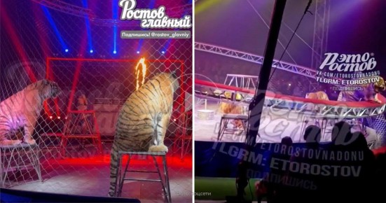 ���� ��������� � �������� ����������� �����