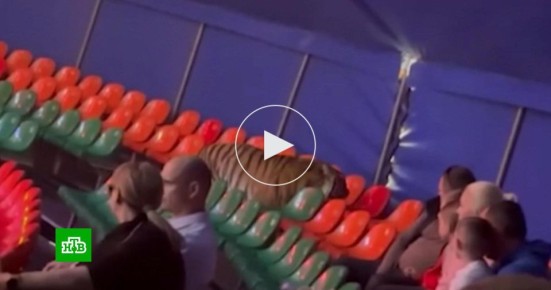 ����������� �������� ���������� ����, ��� ������� ���������� � ��������